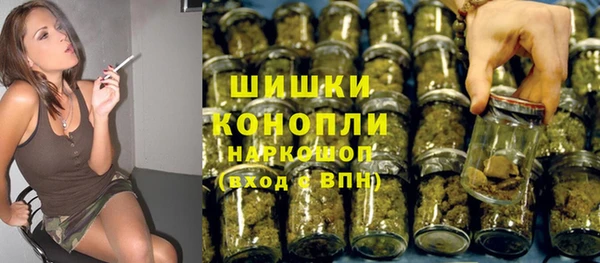 spice Арсеньев