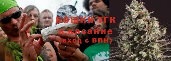 винт Аркадак